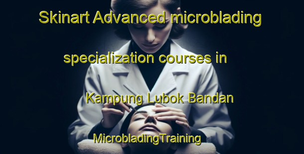 Skinart Advanced microblading specialization courses in Kampung Lubok Bandan | MicrobladingTraining | MicrobladingClasses | SkinartTraining-Malaysia
