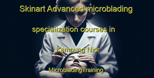 Skinart Advanced microblading specialization courses in Kampung Nior | #MicrobladingTraining #MicrobladingClasses #SkinartTraining-Malaysia