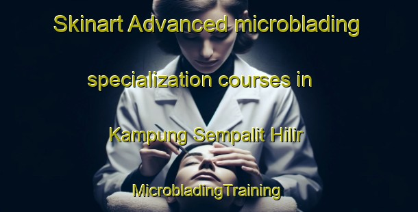 Skinart Advanced microblading specialization courses in Kampung Sempalit Hilir | #MicrobladingTraining #MicrobladingClasses #SkinartTraining-Malaysia