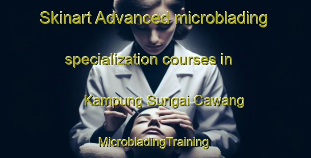 Skinart Advanced microblading specialization courses in Kampung Sungai Cawang | #MicrobladingTraining #MicrobladingClasses #SkinartTraining-Malaysia