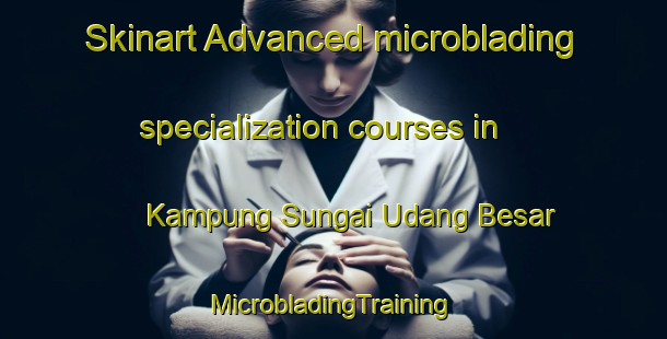 Skinart Advanced microblading specialization courses in Kampung Sungai Udang Besar | #MicrobladingTraining #MicrobladingClasses #SkinartTraining-Malaysia