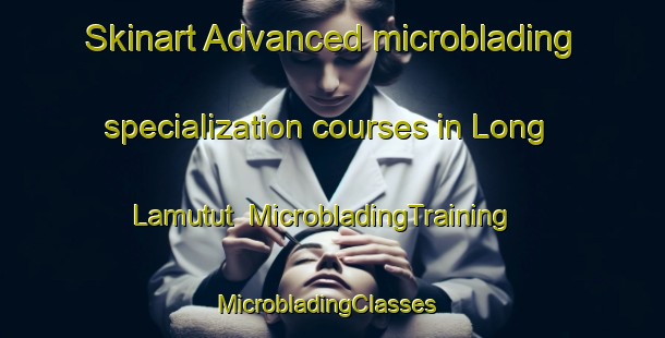 Skinart Advanced microblading specialization courses in Long Lamutut | MicrobladingTraining | MicrobladingClasses | SkinartTraining-Malaysia