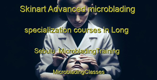 Skinart Advanced microblading specialization courses in Long Sebulu | #MicrobladingTraining #MicrobladingClasses #SkinartTraining-Malaysia