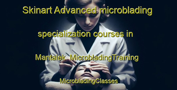 Skinart Advanced microblading specialization courses in Mantalek | #MicrobladingTraining #MicrobladingClasses #SkinartTraining-Malaysia