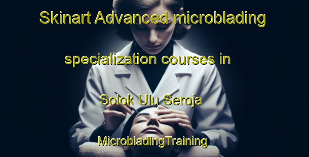 Skinart Advanced microblading specialization courses in Solok Ulu Seroja | #MicrobladingTraining #MicrobladingClasses #SkinartTraining-Malaysia