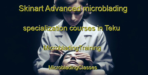 Skinart Advanced microblading specialization courses in Teku | MicrobladingTraining | MicrobladingClasses | SkinartTraining-Malaysia