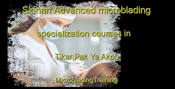 Skinart Advanced microblading specialization courses in Tikar Pak Ya Akob | #MicrobladingTraining #MicrobladingClasses #SkinartTraining-Malaysia