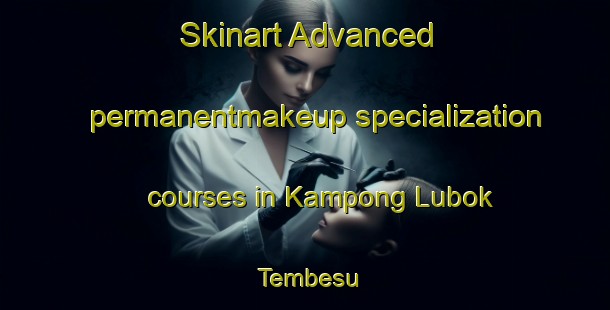 Skinart Advanced permanentmakeup specialization courses in Kampong Lubok Tembesu | #PermanentmakeupTraining #PermanentmakeupClasses #SkinartTraining-Malaysia