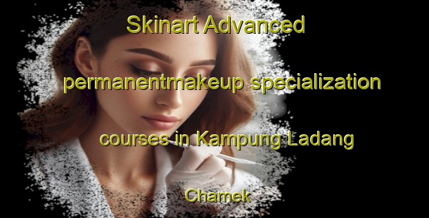 Skinart Advanced permanentmakeup specialization courses in Kampung Ladang Chamek | PermanentmakeupTraining | PermanentmakeupClasses | SkinartTraining-Malaysia