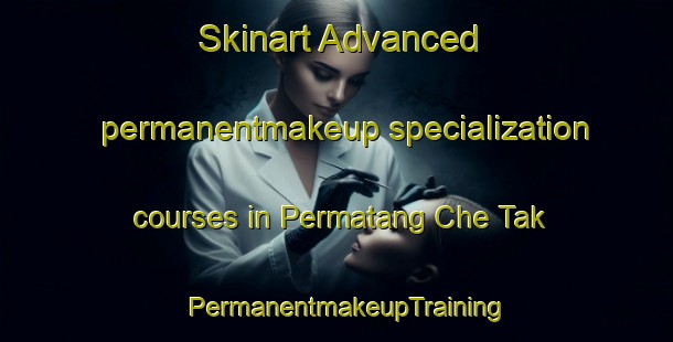 Skinart Advanced permanentmakeup specialization courses in Permatang Che Tak | PermanentmakeupTraining | PermanentmakeupClasses | SkinartTraining-Malaysia