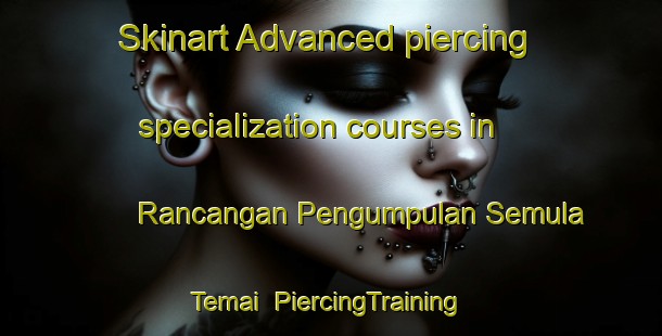 Skinart Advanced piercing specialization courses in Rancangan Pengumpulan Semula Temai | #PiercingTraining #PiercingClasses #SkinartTraining-Malaysia