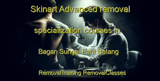 Skinart Advanced removal specialization courses in Bagan Sungai Parit Batang | #RemovalTraining #RemovalClasses #SkinartTraining-Malaysia