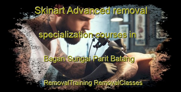 Skinart Advanced removal specialization courses in Bagan Sungai Parit Batang | #RemovalTraining #RemovalClasses #SkinartTraining-Malaysia