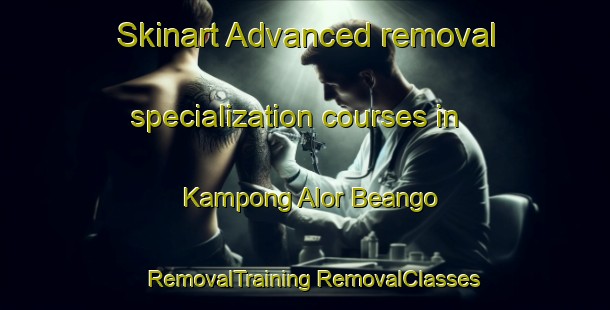 Skinart Advanced removal specialization courses in Kampong Alor Beango | #RemovalTraining #RemovalClasses #SkinartTraining-Malaysia