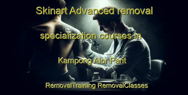 Skinart Advanced removal specialization courses in Kampong Alor Parit | #RemovalTraining #RemovalClasses #SkinartTraining-Malaysia