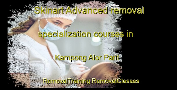 Skinart Advanced removal specialization courses in Kampong Alor Parit | #RemovalTraining #RemovalClasses #SkinartTraining-Malaysia