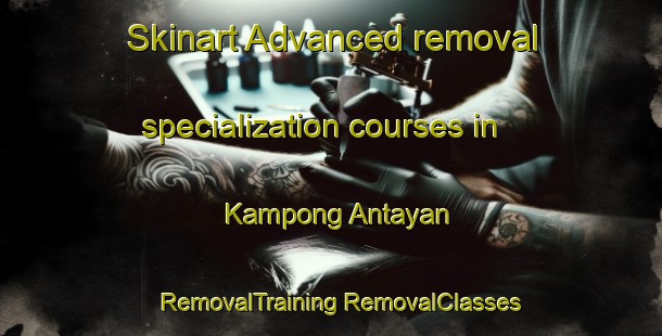 Skinart Advanced removal specialization courses in Kampong Antayan | #RemovalTraining #RemovalClasses #SkinartTraining-Malaysia