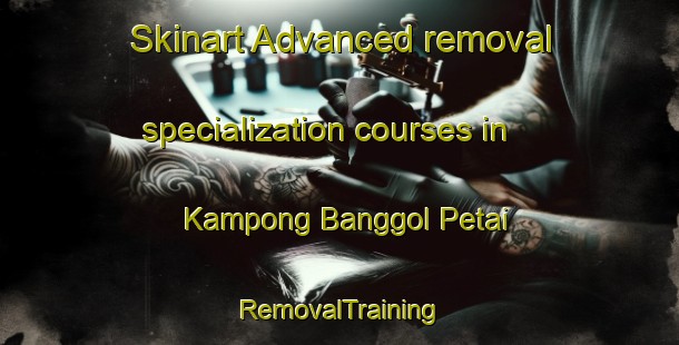 Skinart Advanced removal specialization courses in Kampong Banggol Petai | RemovalTraining | RemovalClasses | SkinartTraining-Malaysia