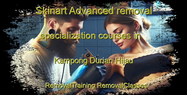 Skinart Advanced removal specialization courses in Kampong Durian Hijau | #RemovalTraining #RemovalClasses #SkinartTraining-Malaysia