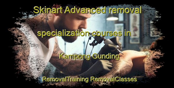 Skinart Advanced removal specialization courses in Kampong Gunding | #RemovalTraining #RemovalClasses #SkinartTraining-Malaysia