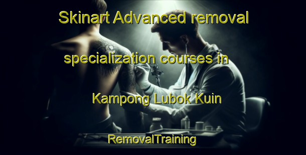 Skinart Advanced removal specialization courses in Kampong Lubok Kuin | RemovalTraining | RemovalClasses | SkinartTraining-Malaysia