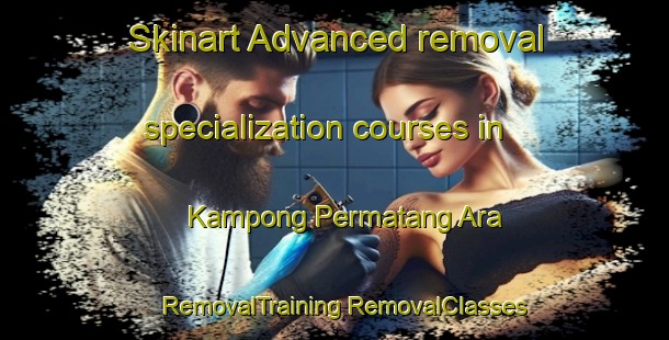 Skinart Advanced removal specialization courses in Kampong Permatang Ara | #RemovalTraining #RemovalClasses #SkinartTraining-Malaysia