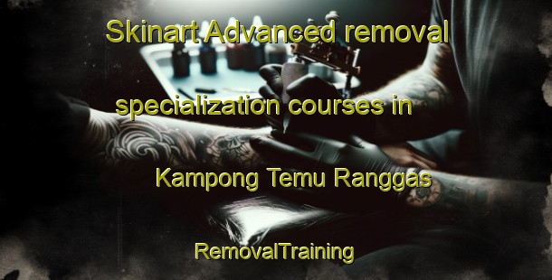 Skinart Advanced removal specialization courses in Kampong Temu Ranggas | RemovalTraining | RemovalClasses | SkinartTraining-Malaysia