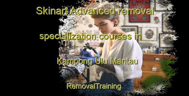 Skinart Advanced removal specialization courses in Kampong Ulu Mantau | RemovalTraining | RemovalClasses | SkinartTraining-Malaysia