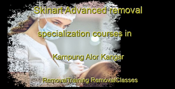 Skinart Advanced removal specialization courses in Kampung Alor Kangar | #RemovalTraining #RemovalClasses #SkinartTraining-Malaysia