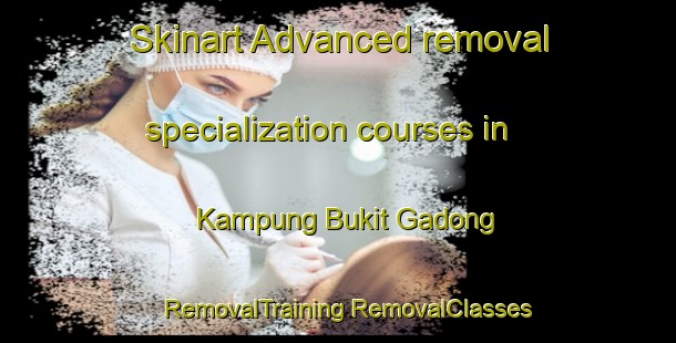 Skinart Advanced removal specialization courses in Kampung Bukit Gadong | #RemovalTraining #RemovalClasses #SkinartTraining-Malaysia