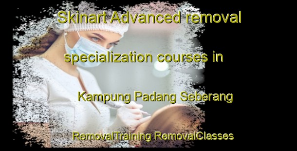 Skinart Advanced removal specialization courses in Kampung Padang Seberang | #RemovalTraining #RemovalClasses #SkinartTraining-Malaysia