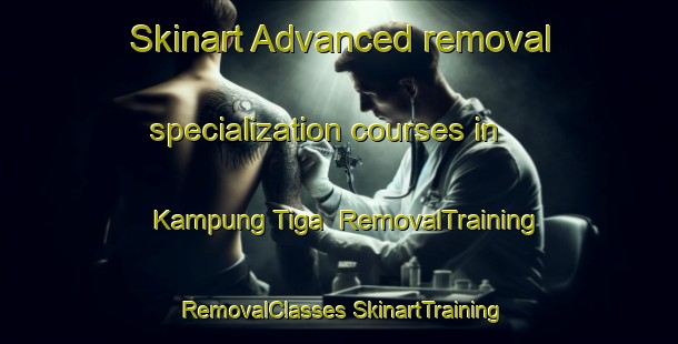 Skinart Advanced removal specialization courses in Kampung Tiga | #RemovalTraining #RemovalClasses #SkinartTraining-Malaysia