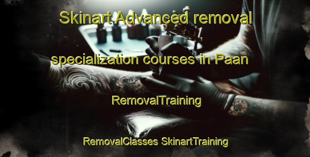 Skinart Advanced removal specialization courses in Paan | #RemovalTraining #RemovalClasses #SkinartTraining-Malaysia