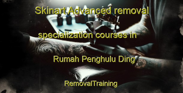 Skinart Advanced removal specialization courses in Rumah Penghulu Ding | RemovalTraining | RemovalClasses | SkinartTraining-Malaysia