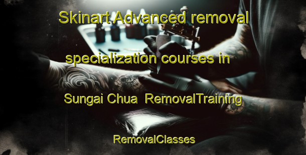 Skinart Advanced removal specialization courses in Sungai Chua | RemovalTraining | RemovalClasses | SkinartTraining-Malaysia