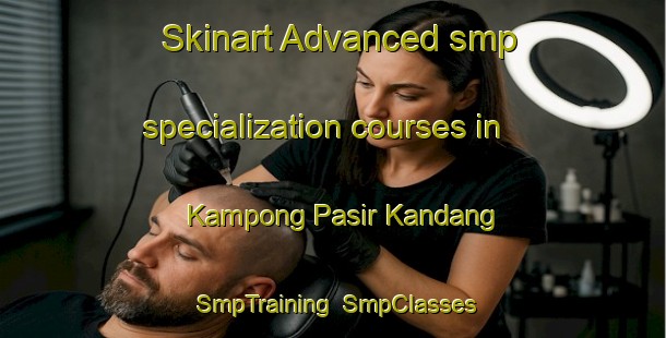 Skinart Advanced smp specialization courses in Kampong Pasir Kandang | SmpTraining | SmpClasses | SkinartTraining-Malaysia