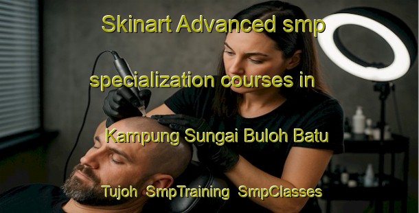 Skinart Advanced smp specialization courses in Kampung Sungai Buloh Batu Tujoh | SmpTraining | SmpClasses | SkinartTraining-Malaysia
