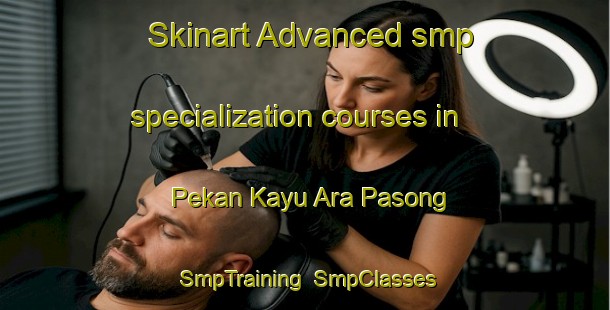 Skinart Advanced smp specialization courses in Pekan Kayu Ara Pasong | SmpTraining | SmpClasses | SkinartTraining-Malaysia