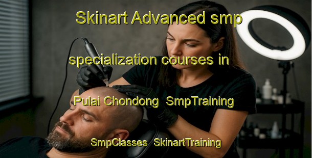 Skinart Advanced smp specialization courses in Pulai Chondong | SmpTraining | SmpClasses | SkinartTraining-Malaysia