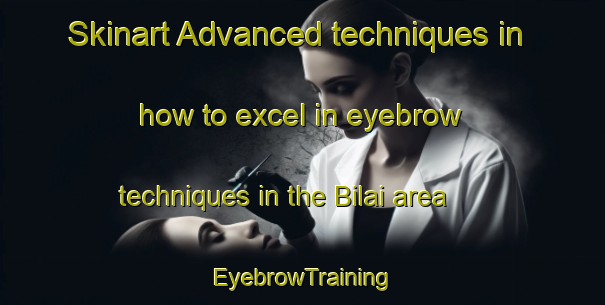 Skinart Advanced techniques in how to excel in eyebrow techniques in the Bilai area | EyebrowTraining | EyebrowClasses | SkinartTraining-Malaysia