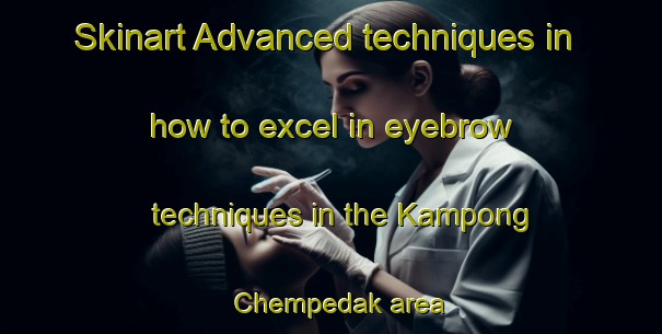 Skinart Advanced techniques in how to excel in eyebrow techniques in the Kampong Chempedak area | EyebrowTraining | EyebrowClasses | SkinartTraining-Malaysia