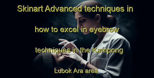 Skinart Advanced techniques in how to excel in eyebrow techniques in the Kampong Lubok Ara area | EyebrowTraining | EyebrowClasses | SkinartTraining-Malaysia