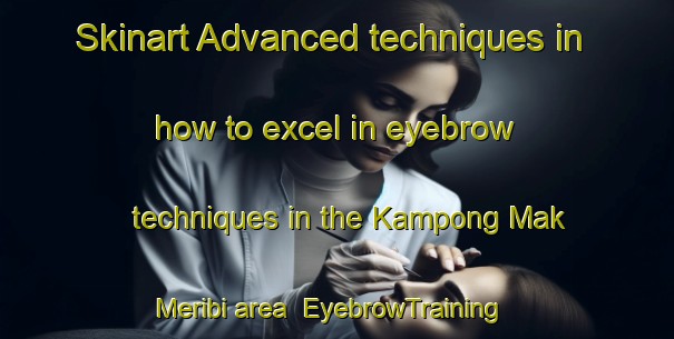 Skinart Advanced techniques in how to excel in eyebrow techniques in the Kampong Mak Meribi area | EyebrowTraining | EyebrowClasses | SkinartTraining-Malaysia