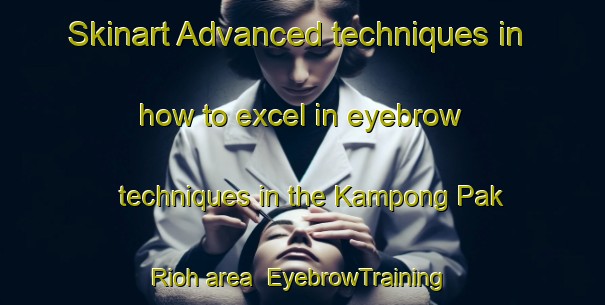 Skinart Advanced techniques in how to excel in eyebrow techniques in the Kampong Pak Rioh area | EyebrowTraining | EyebrowClasses | SkinartTraining-Malaysia