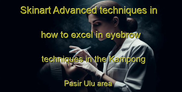 Skinart Advanced techniques in how to excel in eyebrow techniques in the Kampong Pasir Ulu area | EyebrowTraining | EyebrowClasses | SkinartTraining-Malaysia