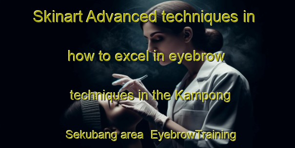 Skinart Advanced techniques in how to excel in eyebrow techniques in the Kampong Sekubang area | EyebrowTraining | EyebrowClasses | SkinartTraining-Malaysia