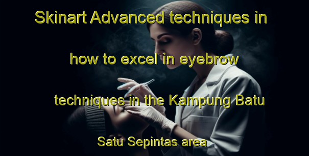 Skinart Advanced techniques in how to excel in eyebrow techniques in the Kampung Batu Satu Sepintas area | EyebrowTraining | EyebrowClasses | SkinartTraining-Malaysia