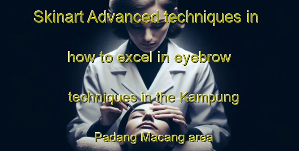 Skinart Advanced techniques in how to excel in eyebrow techniques in the Kampung Padang Macang area | EyebrowTraining | EyebrowClasses | SkinartTraining-Malaysia
