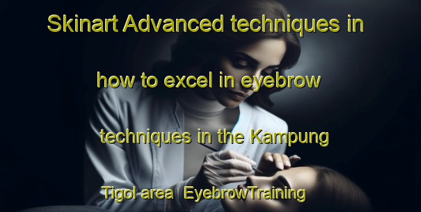 Skinart Advanced techniques in how to excel in eyebrow techniques in the Kampung Tigol area | EyebrowTraining | EyebrowClasses | SkinartTraining-Malaysia