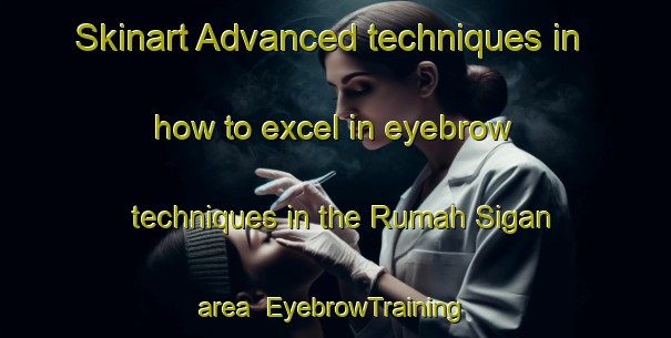 Skinart Advanced techniques in how to excel in eyebrow techniques in the Rumah Sigan area | EyebrowTraining | EyebrowClasses | SkinartTraining-Malaysia